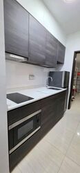 Sims Urban Oasis (D14), Condominium #571413201